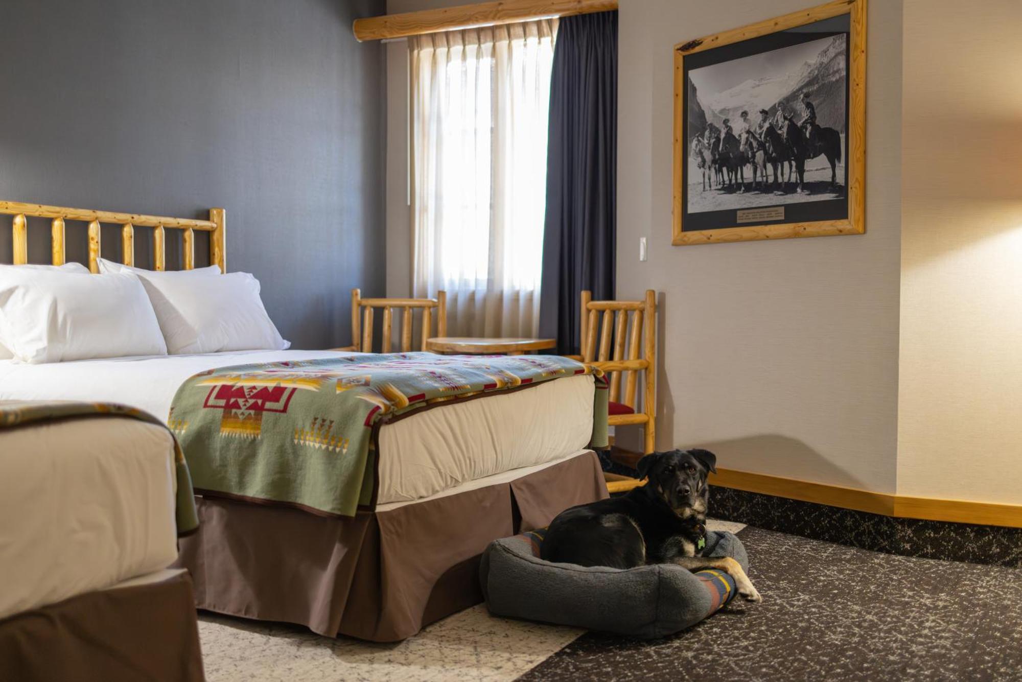 Brewster Mountain Lodge Banff Zewnętrze zdjęcie